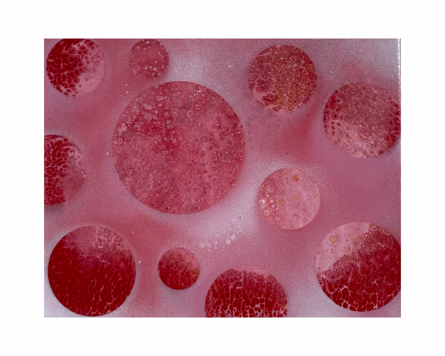 『しんしん』A4サイズ写真