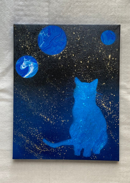 猫と宇宙